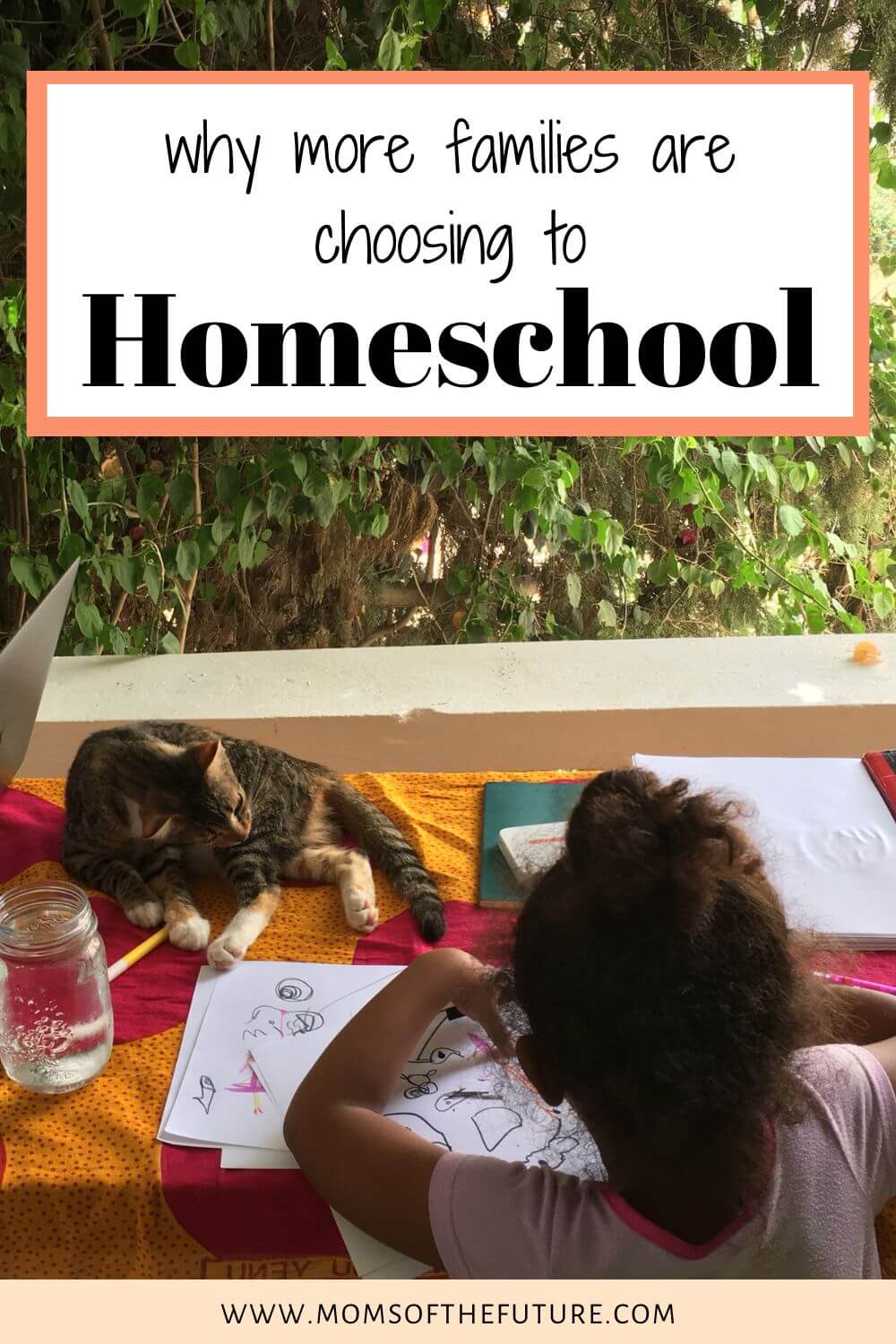 Why are more families are homeschooling, Homeschool Family 